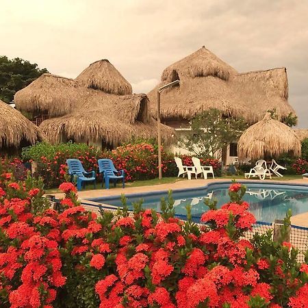 Palomino Breeze Hostal 외부 사진