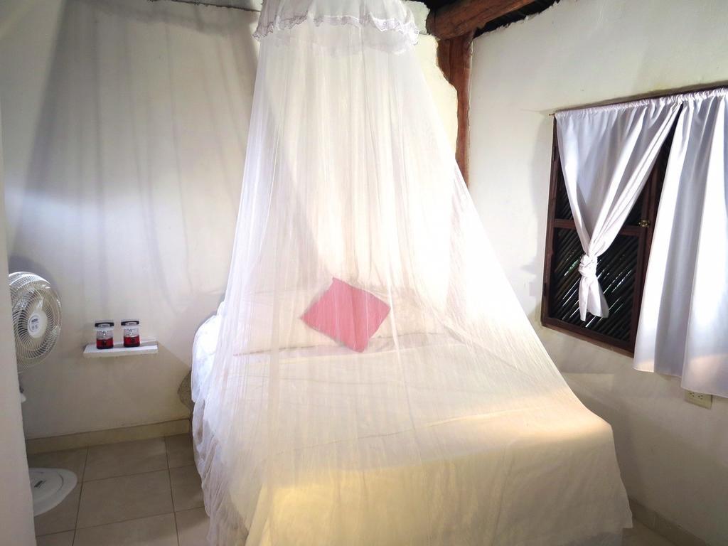 Palomino Breeze Hostal 객실 사진