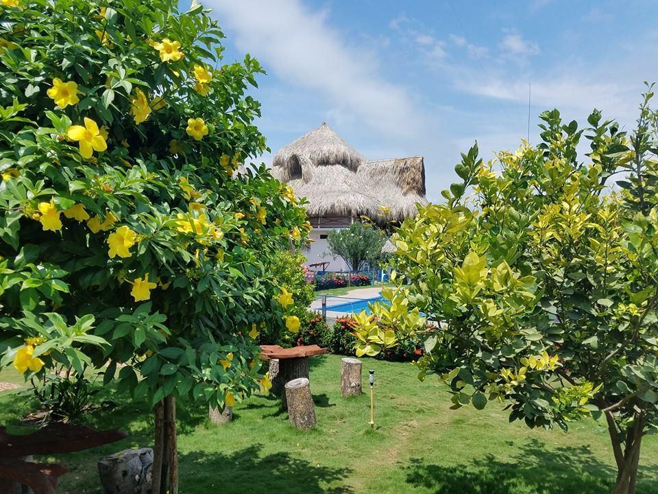 Palomino Breeze Hostal 외부 사진