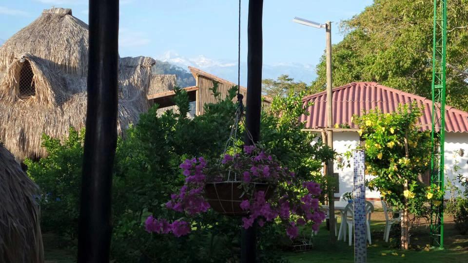 Palomino Breeze Hostal 외부 사진