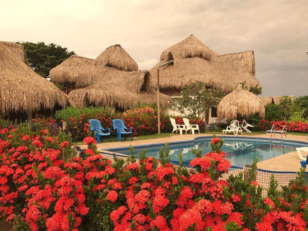 Palomino Breeze Hostal 외부 사진